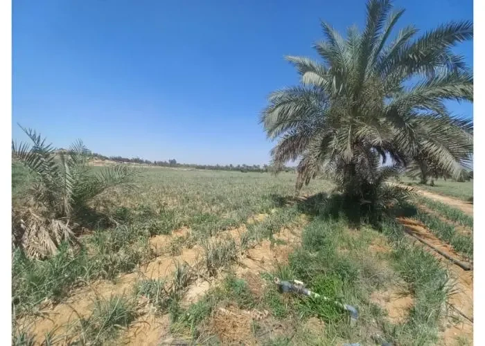أرض للبيع كمبوند سكني