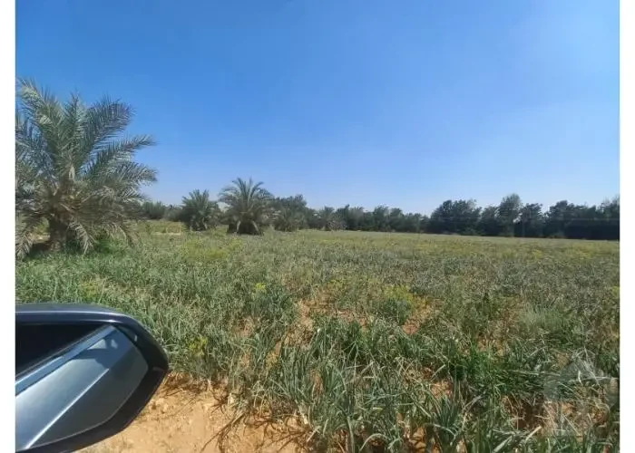أراضي غرب القاهرة الجديدة