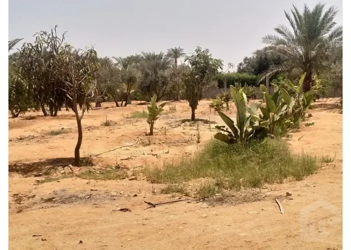 أرض للبيع أكتوبر سفنكس