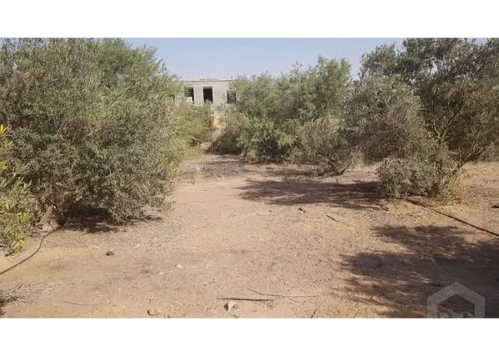 أرض كمبوند أفق 1