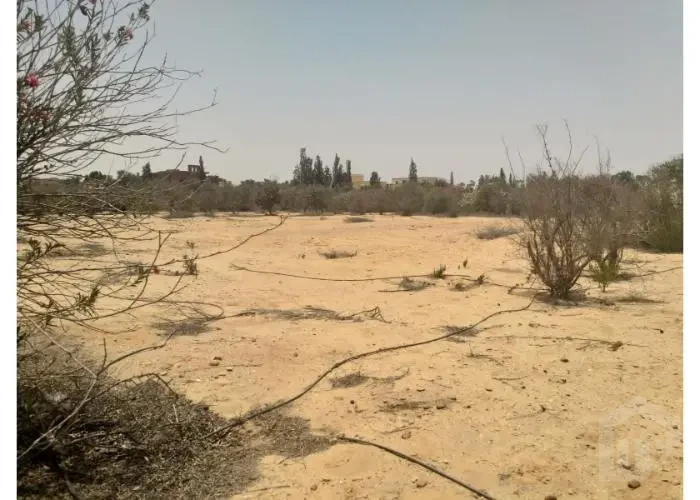 أرض للتطوير العقاري أكتوبر