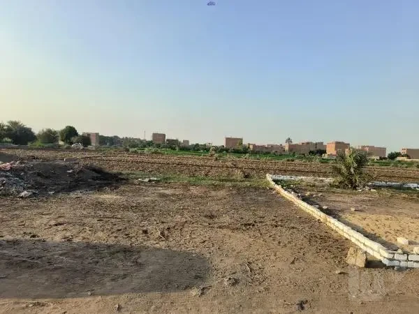 أرض للبيع المريوطية
