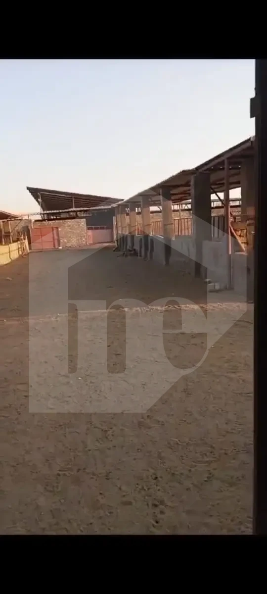 Livestock Farm for sale at ismalia