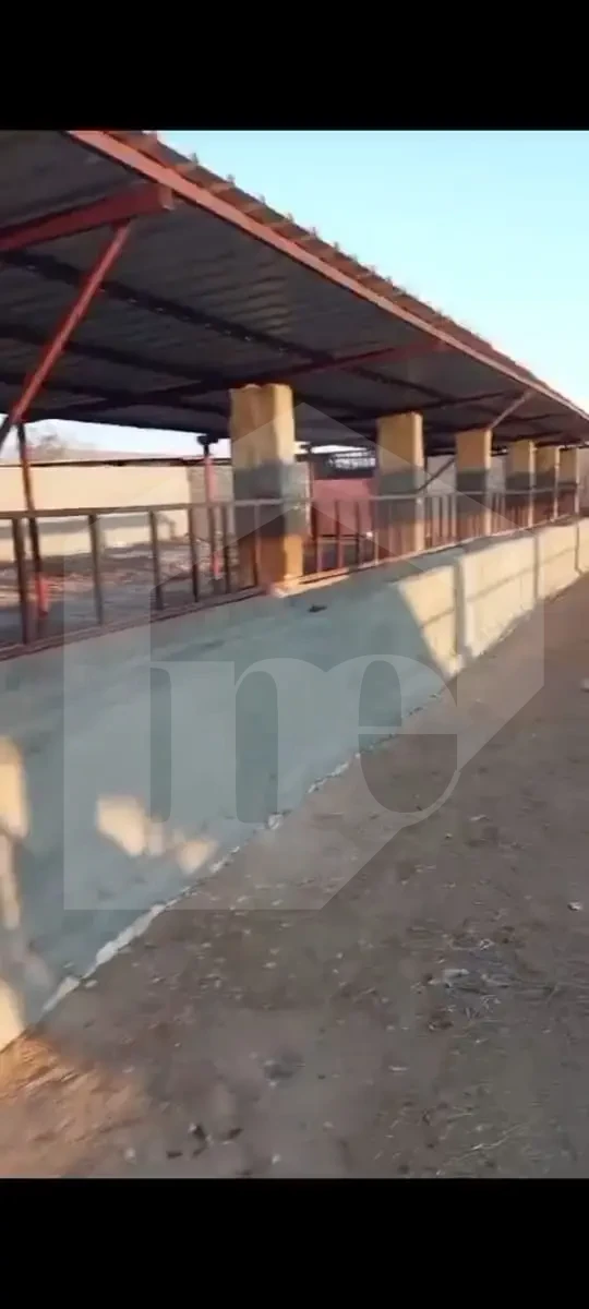 مزرعه للانتاج الحيواني