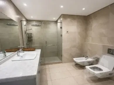 صورة العقار