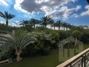 صورة العقار