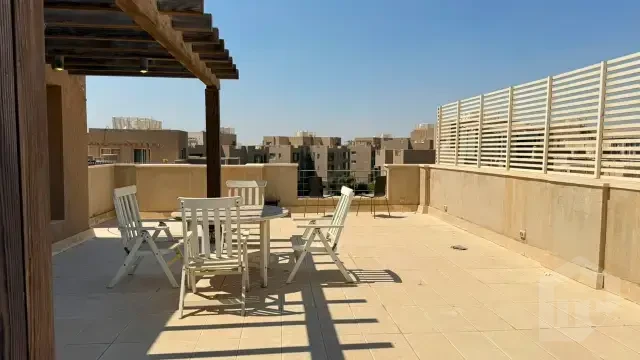 صورة العقار