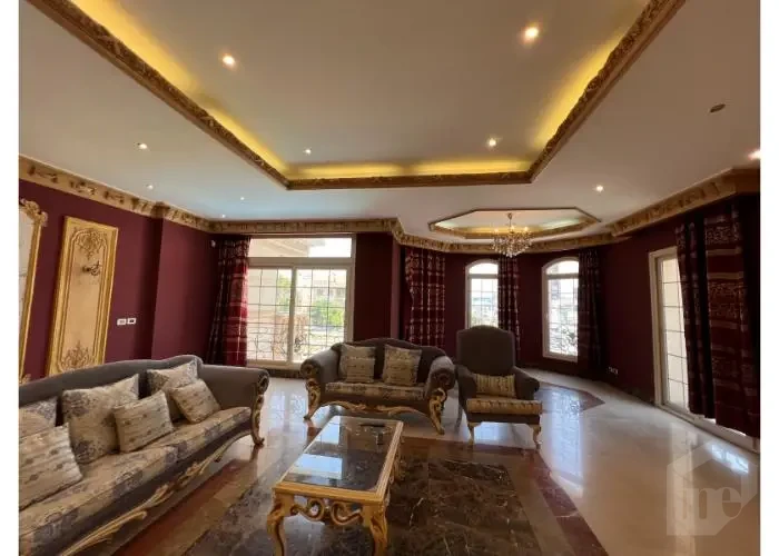 قصر للبيع في القاهره الجديده