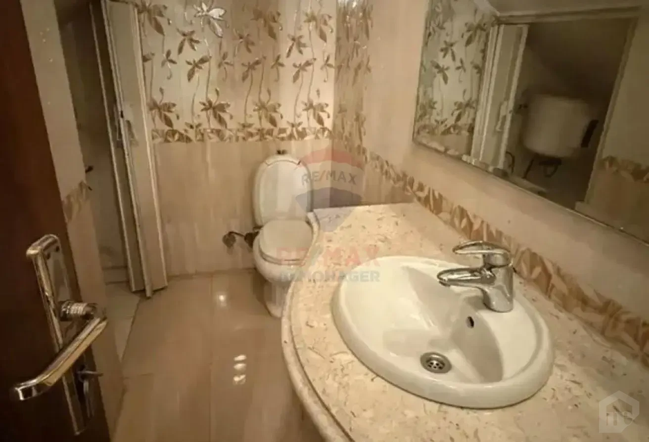 صورة العقار