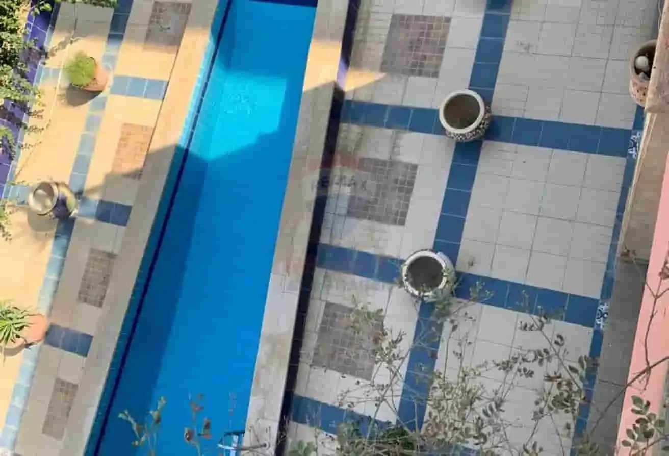 صورة العقار