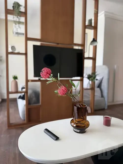 Modern Studio in V Residence – 200 sqm Terrace