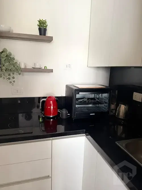 Modern Studio in V Residence – 200 sqm Terrace