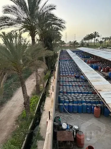 منشأة إنتاج مخللات فاخرة ومزرعة زراعية