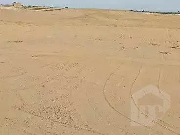land for sale Menoufia Shibin Al Kawm