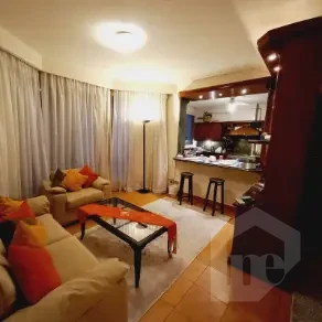 شقة للسكن الدبلوماسي في الدقي