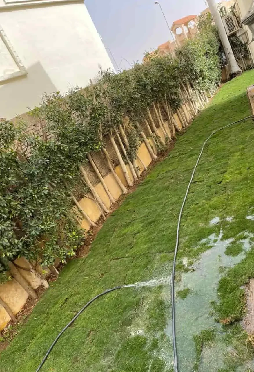 Luxury Fully Finished Twin House – Sheikh Zayed