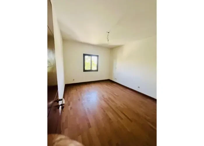 ستاند الون للأيجار