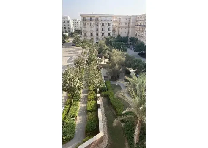Apartment For Rent In Hyde Park