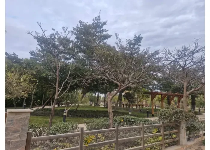 Villa For Sale In New Cairo