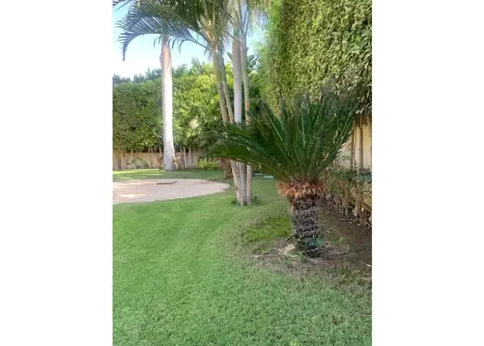 For Sale In El Sheikh Zayed