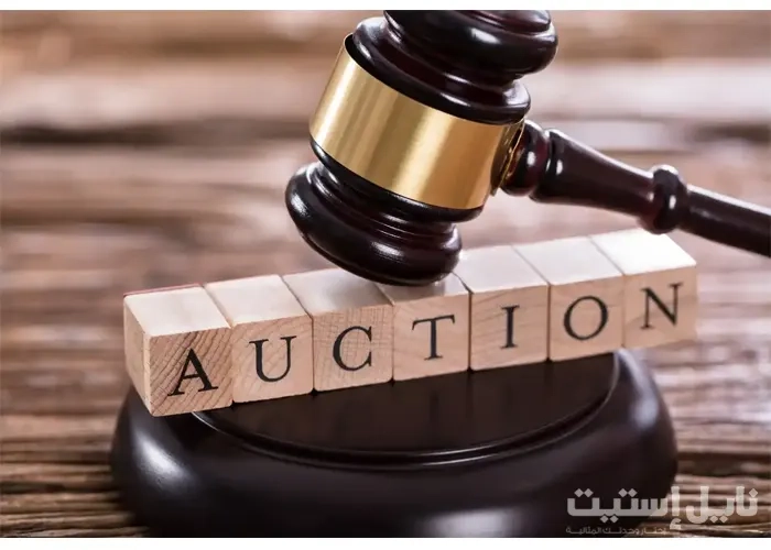 Real Estate Auctions