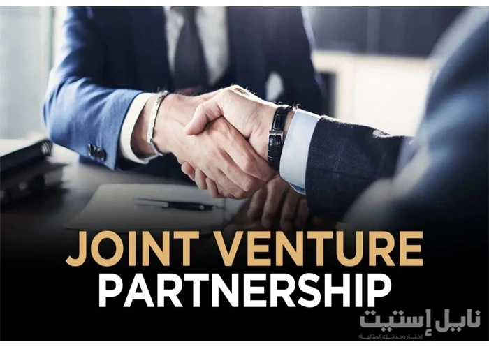 Real estate to participation