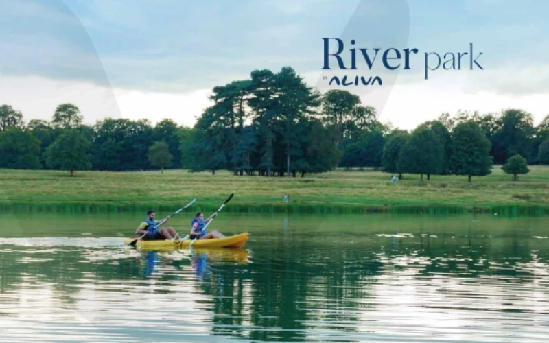 اليفا ماونتن فيو