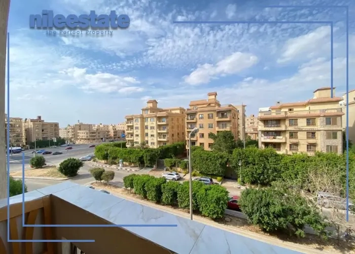 south academy new cairo