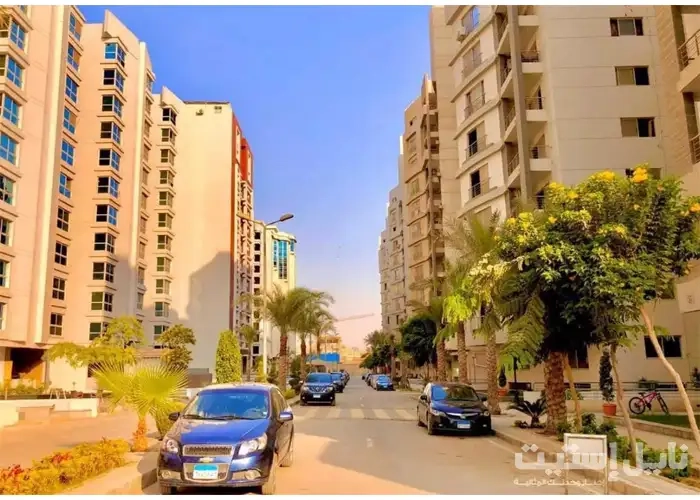 real estate for sale or rent in maadi