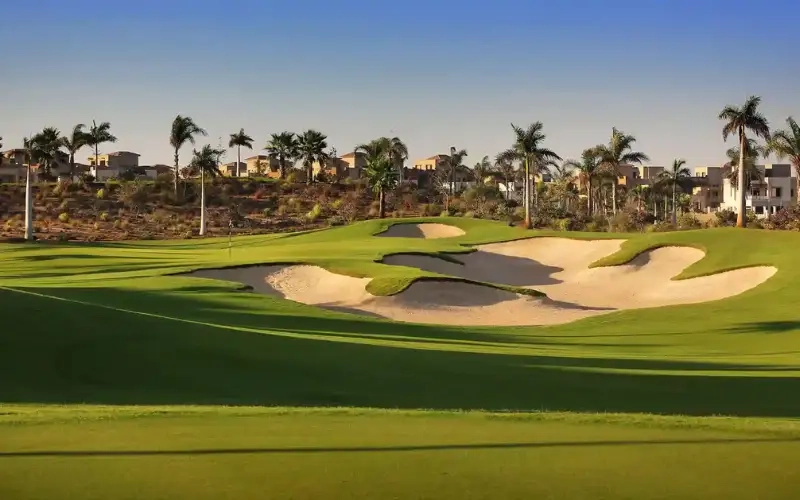 اليجريا الشيخ زايد